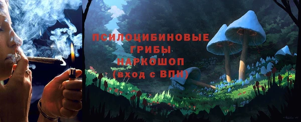 кокс Касимов