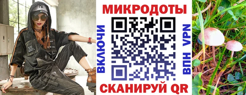 kraken tor  Омск  Галлюциногенные грибы Cubensis 