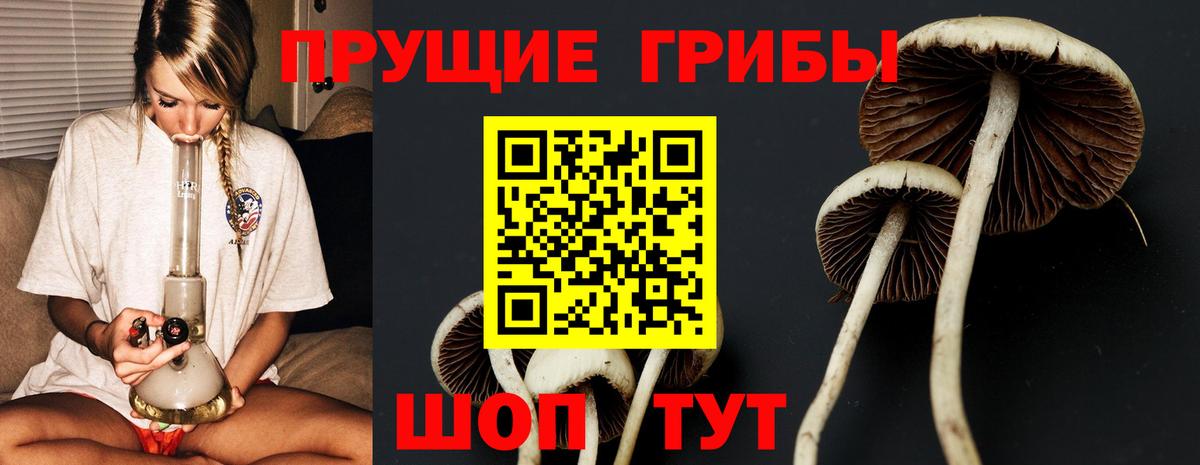 Псилоцибиновые грибы ЛСД  Псилоцибиновые грибы MAGIC MUSHROOMS  Вход с VPN  Омск 